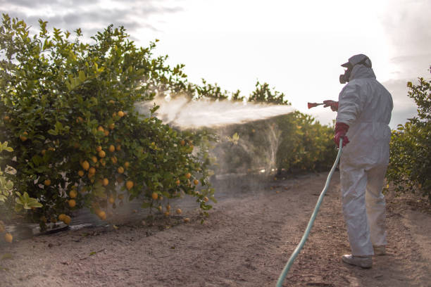 Best Exterminator Services  in Palmyra, IN