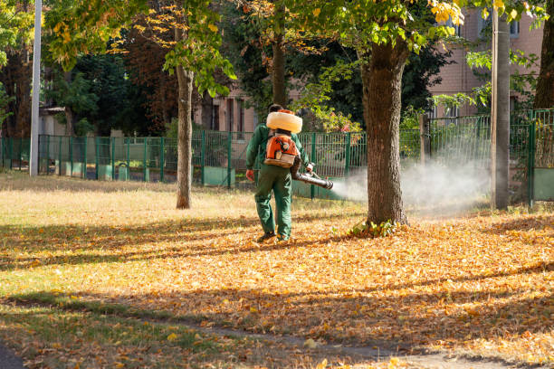Professional Pest Control in Palmyra, IN