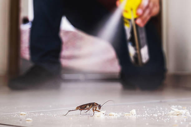 Best Best Pest Control Companies  in Palmyra, IN