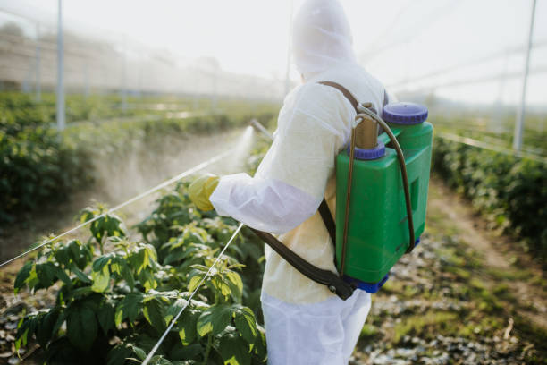 Pest Control for Restaurants in Palmyra, IN